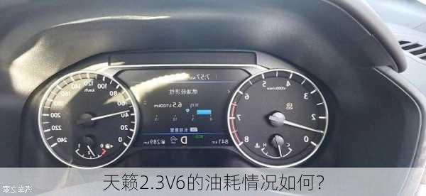 天籁2.3V6的油耗情况如何？