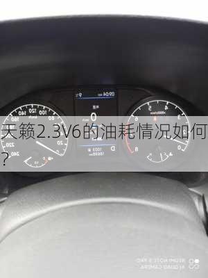 天籁2.3V6的油耗情况如何？