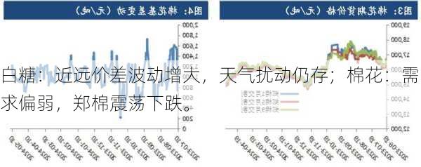 白糖：近远价差波动增大，天气扰动仍存；棉花：需求偏弱，郑棉震荡下跌。