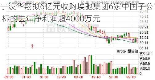 宁波华翔拟6亿元收购埃驰集团6家中国子公司 标的去年净利润超4000万元