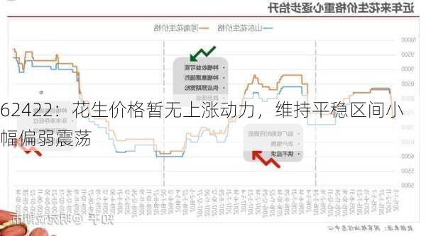 62422：花生价格暂无上涨动力，维持平稳区间小幅偏弱震荡