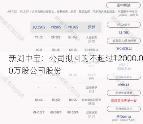 新湖中宝：公司拟回购不超过12000.00万股公司股份