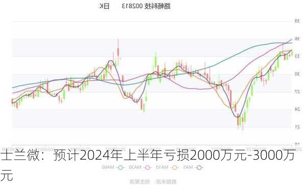 士兰微：预计2024年上半年亏损2000万元-3000万元