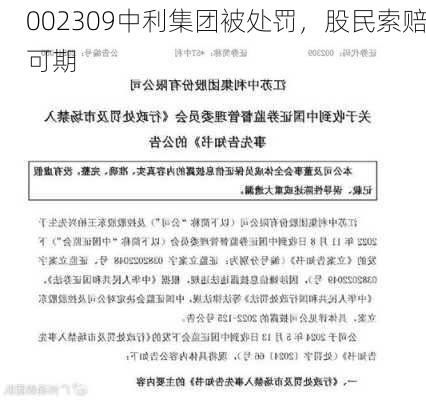 002309中利集团被处罚，股民索赔可期