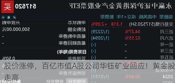股价涨停，百亿市值A股公司华钰矿业回应！黄金股走高