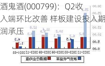 酒鬼酒(000799)：Q2收入端环比改善 样板建设投入期利润承压