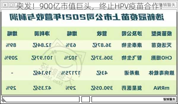 突发！900亿市值巨头，终止HPV疫苗合作！