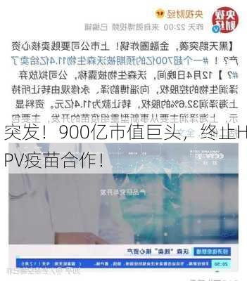 突发！900亿市值巨头，终止HPV疫苗合作！