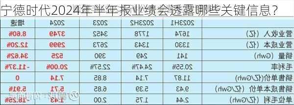 宁德时代2024年半年报业绩会透露哪些关键信息？