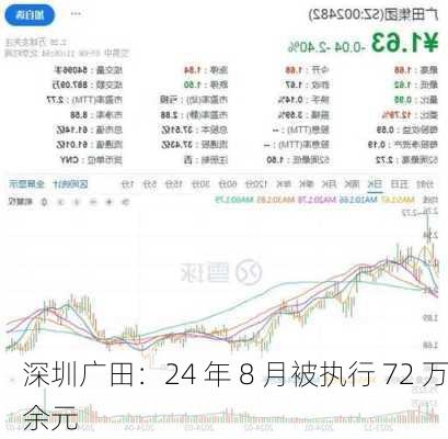 深圳广田：24 年 8 月被执行 72 万余元