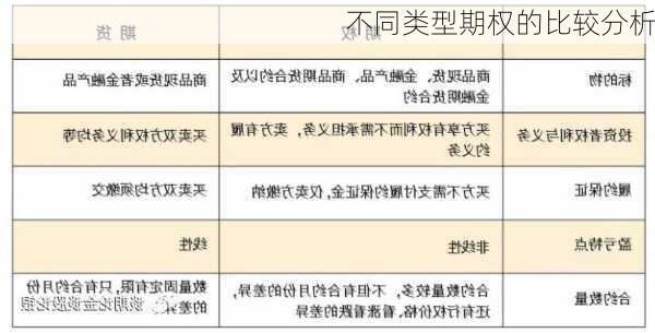 不同类型期权的比较分析