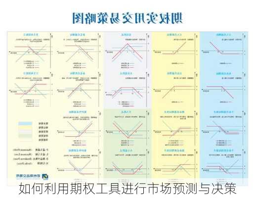 如何利用期权工具进行市场预测与决策