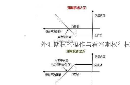 外汇期权的操作与看涨期权行权