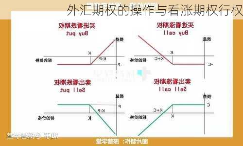 外汇期权的操作与看涨期权行权