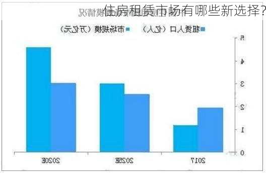 住房租赁市场有哪些新选择？