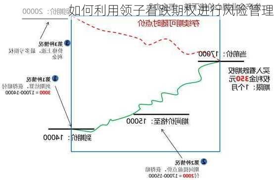 如何利用领子看跌期权进行风险管理