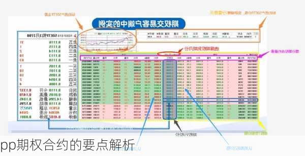 pp期权合约的要点解析