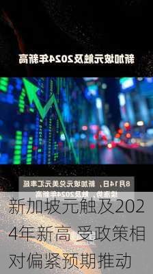 新加坡元触及2024年新高 受政策相对偏紧预期推动