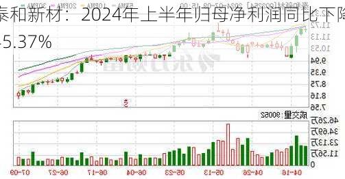 泰和新材：2024年上半年归母净利润同比下降45.37%