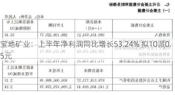 宝地矿业：上半年净利润同比增长53.24% 拟10派0.5元