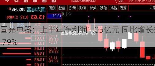 国光电器：上半年净利润1.05亿元 同比增长62.79%