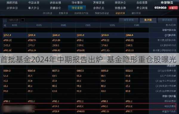 首批基金2024年中期报告出炉  基金隐形重仓股曝光