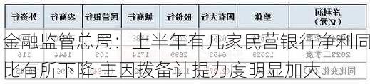 金融监管总局：上半年有几家民营银行净利同比有所下降 主因拨备计提力度明显加大