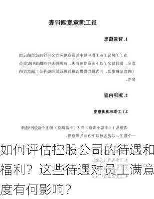 如何评估控股公司的待遇和福利？这些待遇对员工满意度有何影响？