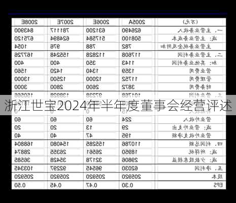 浙江世宝2024年半年度董事会经营评述