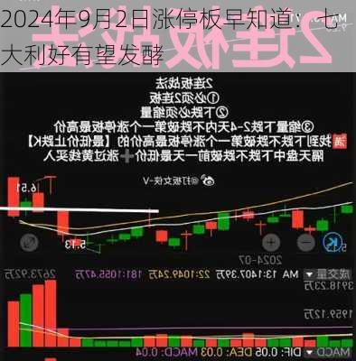 2024年9月2日涨停板早知道：七大利好有望发酵