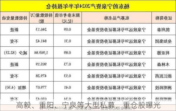 高毅、重阳、宁泉等大型私募，重仓股曝光