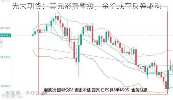 光大期货：美元涨势暂缓，金价或存反弹驱动