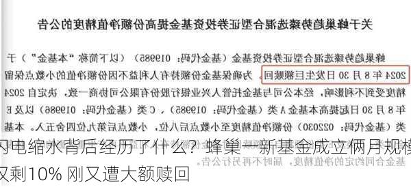 闪电缩水背后经历了什么？蜂巢一新基金成立俩月规模仅剩10% 刚又遭大额赎回