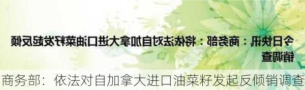 商务部：依法对自加拿大进口油菜籽发起反倾销调查