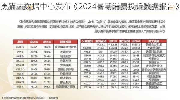 黑猫大数据中心发布《2024暑期消费投诉数据报告》