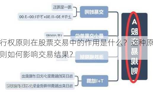 行权原则在股票交易中的作用是什么？这种原则如何影响交易结果？