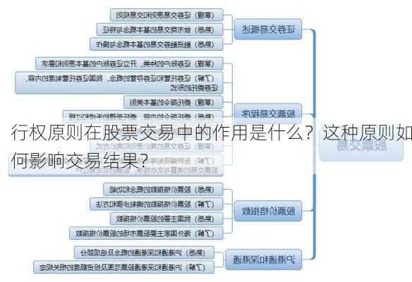 行权原则在股票交易中的作用是什么？这种原则如何影响交易结果？