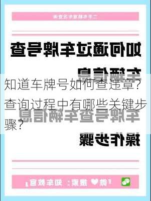 知道车牌号如何查违章？查询过程中有哪些关键步骤？