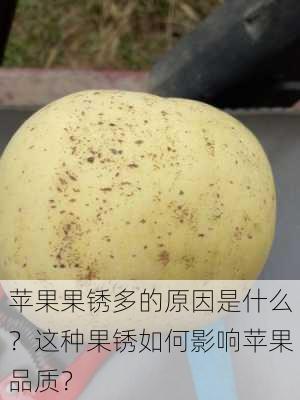 苹果果锈多的原因是什么？这种果锈如何影响苹果品质？