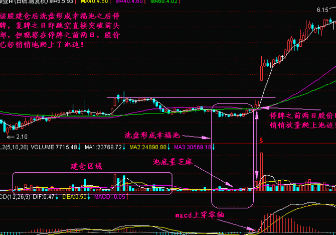 震仓是什么意思？这种市场行为如何影响股票价格波动？