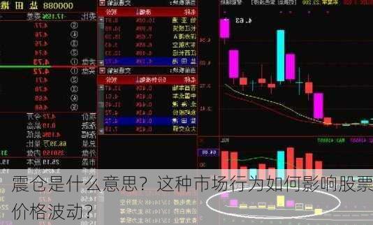 震仓是什么意思？这种市场行为如何影响股票价格波动？