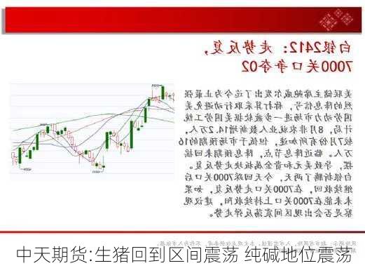 中天期货:生猪回到区间震荡 纯碱地位震荡