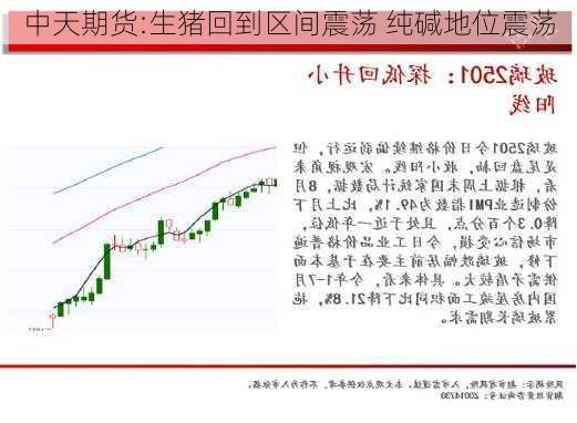 中天期货:生猪回到区间震荡 纯碱地位震荡