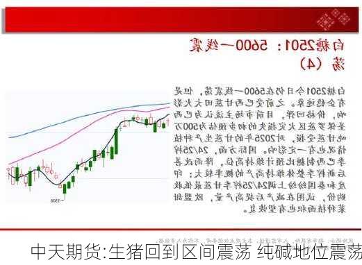 中天期货:生猪回到区间震荡 纯碱地位震荡