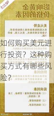 如何购买美元进行投资？这种购买方式有哪些风险？