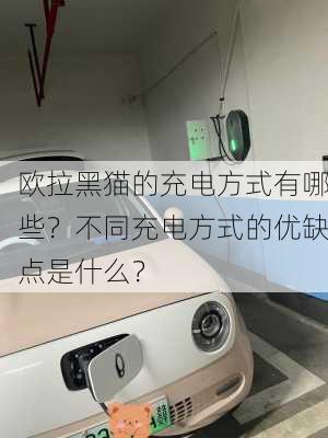 欧拉黑猫的充电方式有哪些？不同充电方式的优缺点是什么？