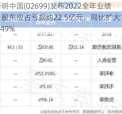 新明中国(02699)发布2022全年业绩，股东应占亏损约22.5亿元，同比扩大169.49%