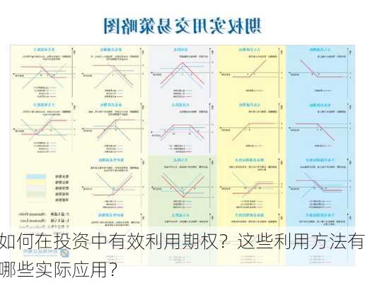 如何在投资中有效利用期权？这些利用方法有哪些实际应用？