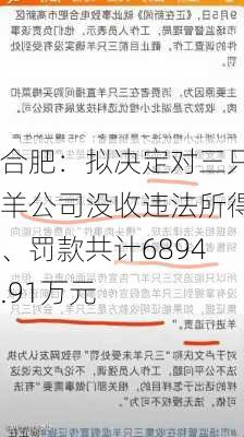 合肥：拟决定对三只羊公司没收违法所得、罚款共计6894.91万元