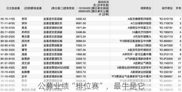 公募业绩“排位赛”，最牛是它